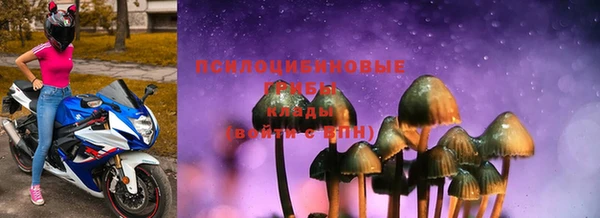 хмурый Алзамай