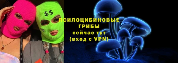хмурый Алзамай