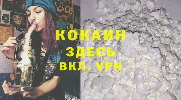 хмурый Алзамай