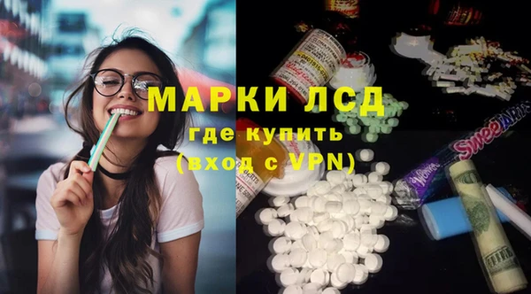 хмурый Алзамай